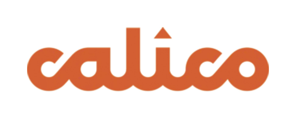 logo20